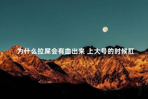 为什么拉屎会有血出来 上大号的时候肛门出血是怎么回事